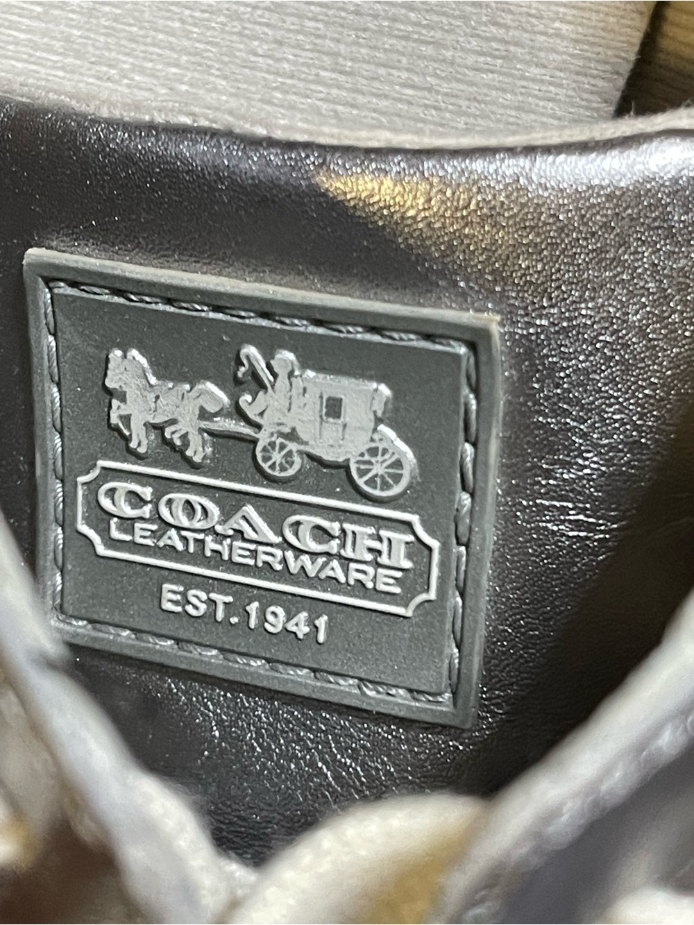 New -Y2K Coach Leatherware EST. 1941 “JOSS” Metallic Silver Leather Sneakers